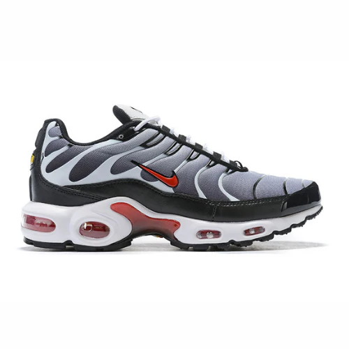 Air Max Plus TN 1 “Dusk”