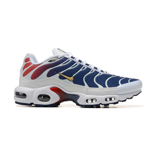 Air Max Plus TN 1 Paris Saint-Germain