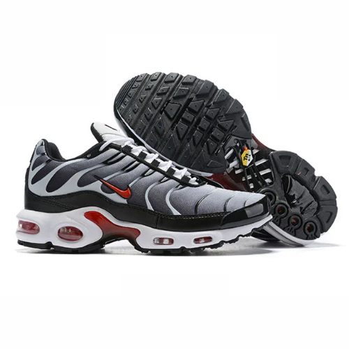 Air Max Plus TN 1 “Dusk”