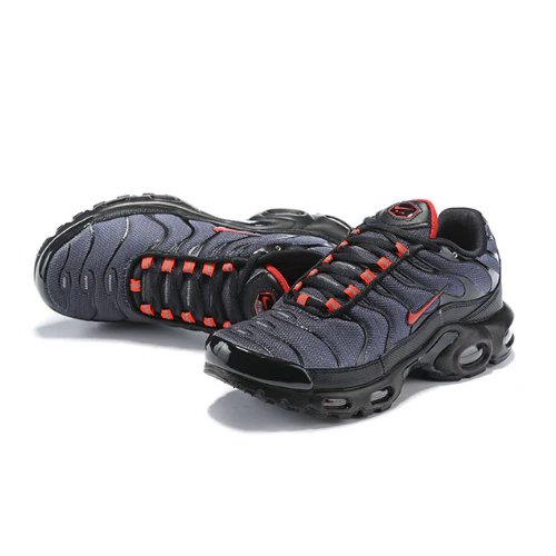 Air Max Plus TN 1 Gradient Red