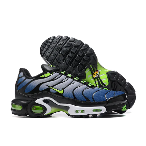 Air Max Plus TN 1 Icons
