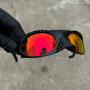 Plantaris Black Ruby