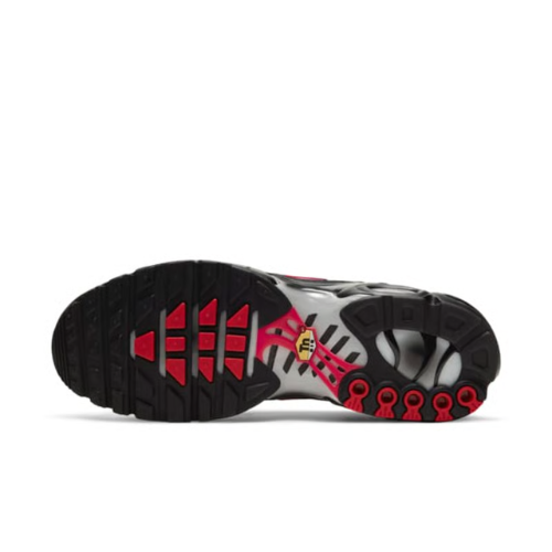 Air Max Plus TN 1 Topography