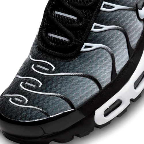 Air Max Plus TN 1 “Black Metallic