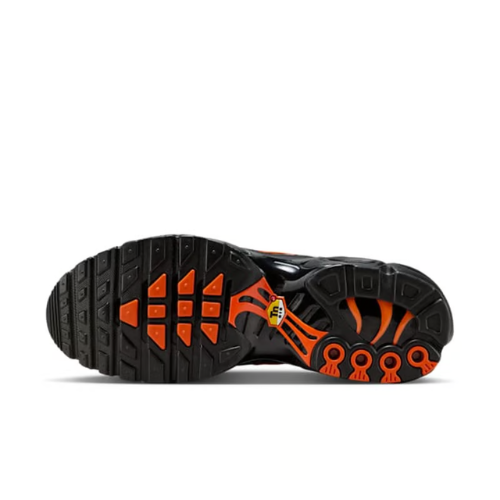 Air Max Plus TN 1 Camouflage