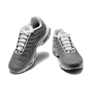 Air Max Plus TN 1 Flat Pewter