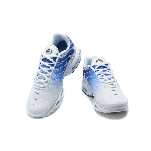 Air Max Plus TN 1 Blue Fade