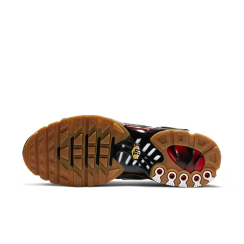 Air Max Plus TN 1 Remix