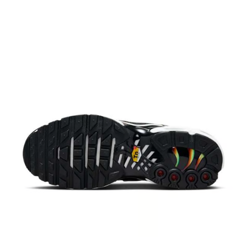 Air Max Plus TN 1 Rainbow