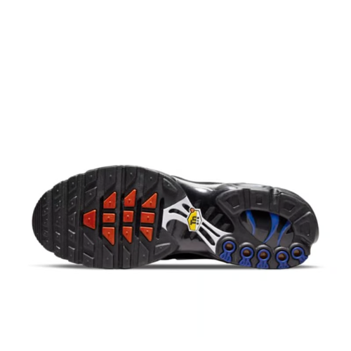 Air Max Plus TN 1 France