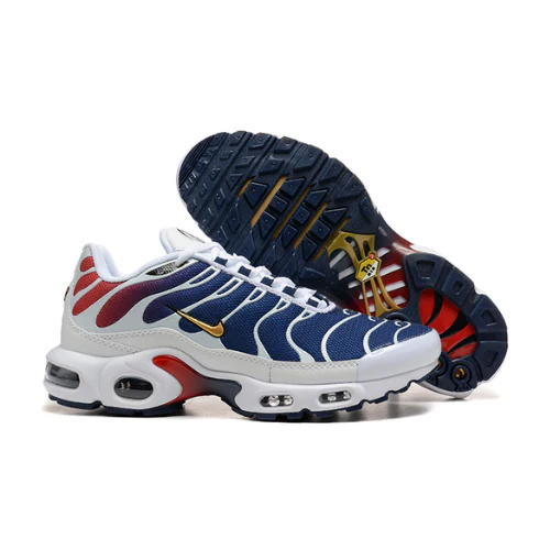 Air Max Plus TN 1 Paris Saint-Germain