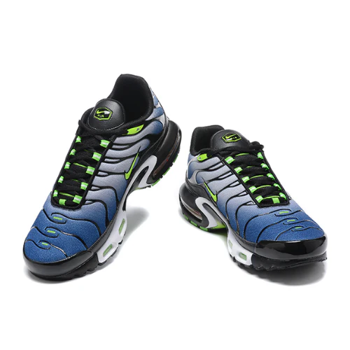 Air Max Plus TN 1 Icons