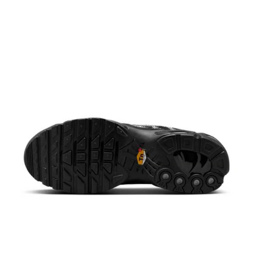 Air Max Plus TN 1 Moonlight