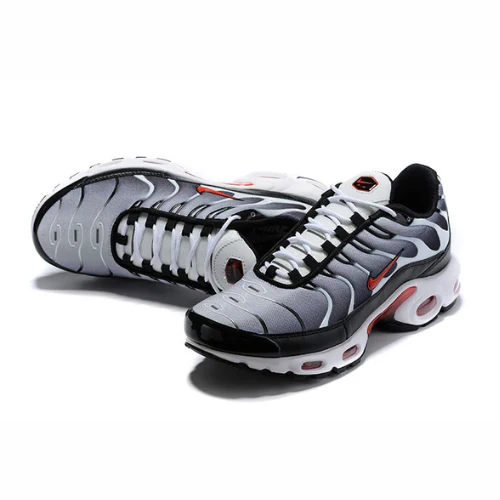 Air Max Plus TN 1 “Dusk”
