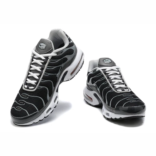 Air Max Plus TN 1 “BlackSilver”
