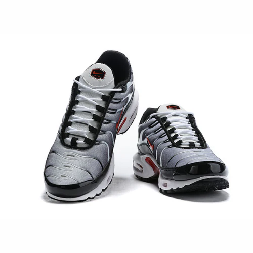 Air Max Plus TN 1 “Dusk”