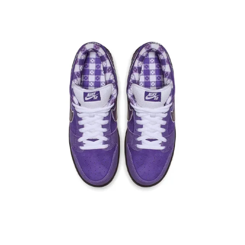 Nike SB Dunk Low Concepts Purple Lobster