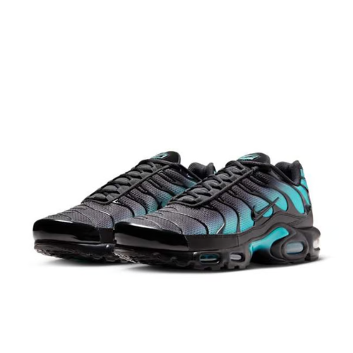 Air Max Plus TN 1 Black & Dusty Cactus