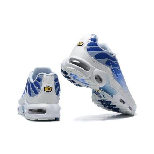 Air Max Plus TN 1 Blue Fade