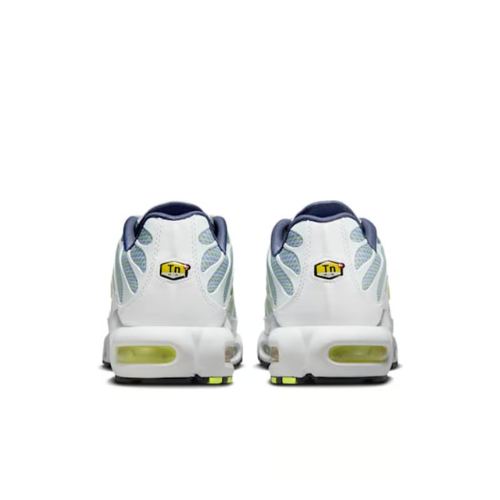 Air Max Plus TN 1 Pebble Grey & Steel