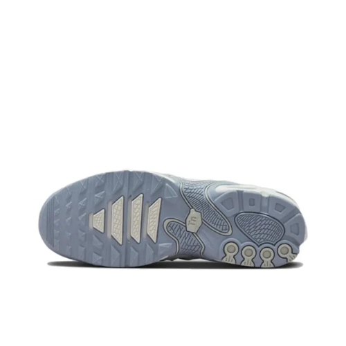 Nike Air Max Plus Drift 'Ashen Slate'