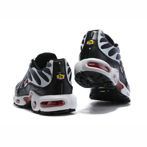 Air Max Plus TN 1 “Dusk”